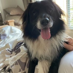 Meet your Posher, Jan